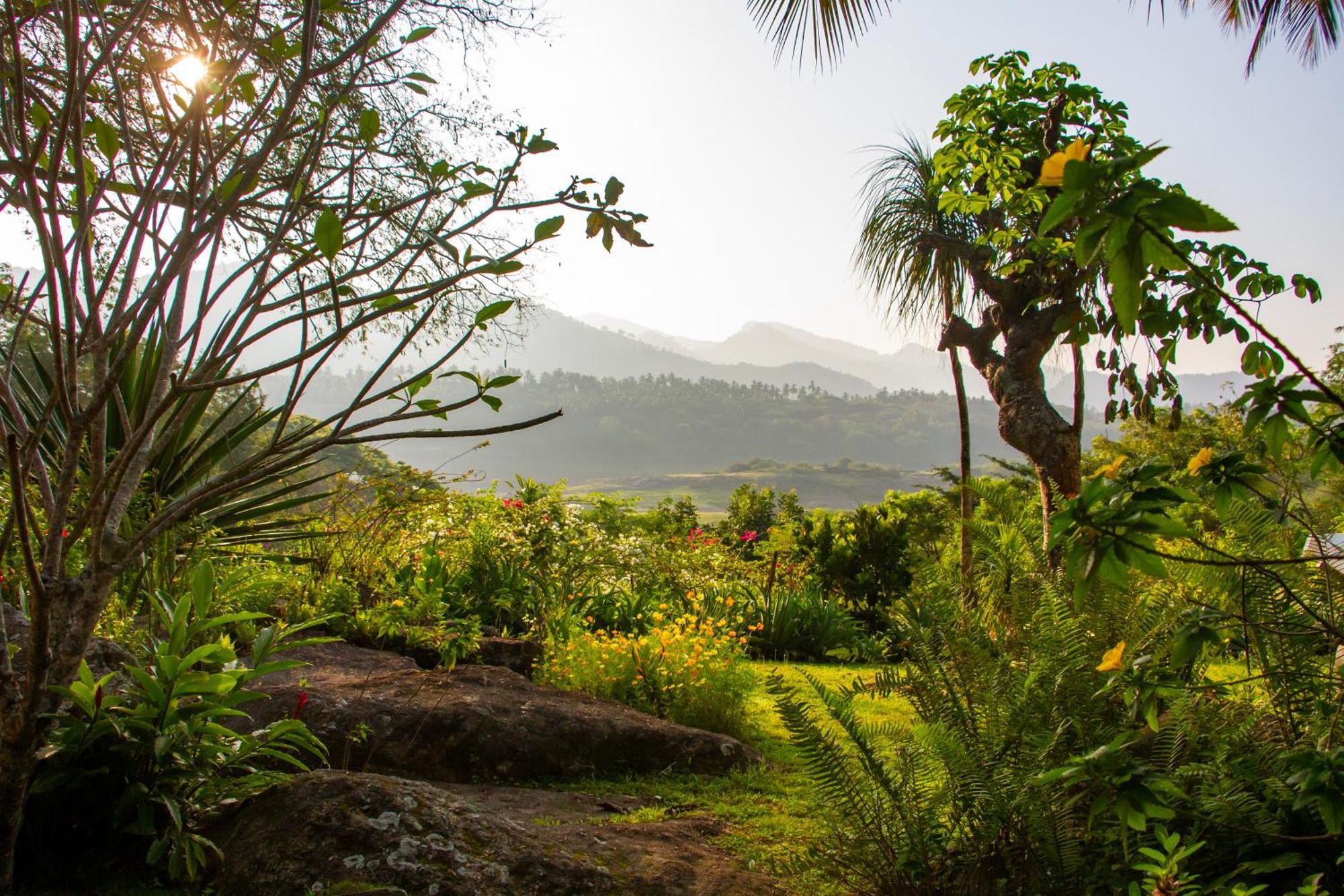 Bougainvillea Retreat كاندي المظهر الخارجي الصورة